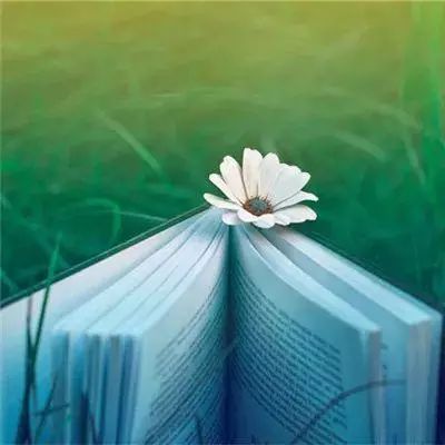 王权霸略手游(暂未上线)v1.0.0 安卓版